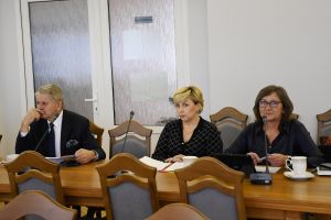 Radni przy stole w sali konferencyjnej