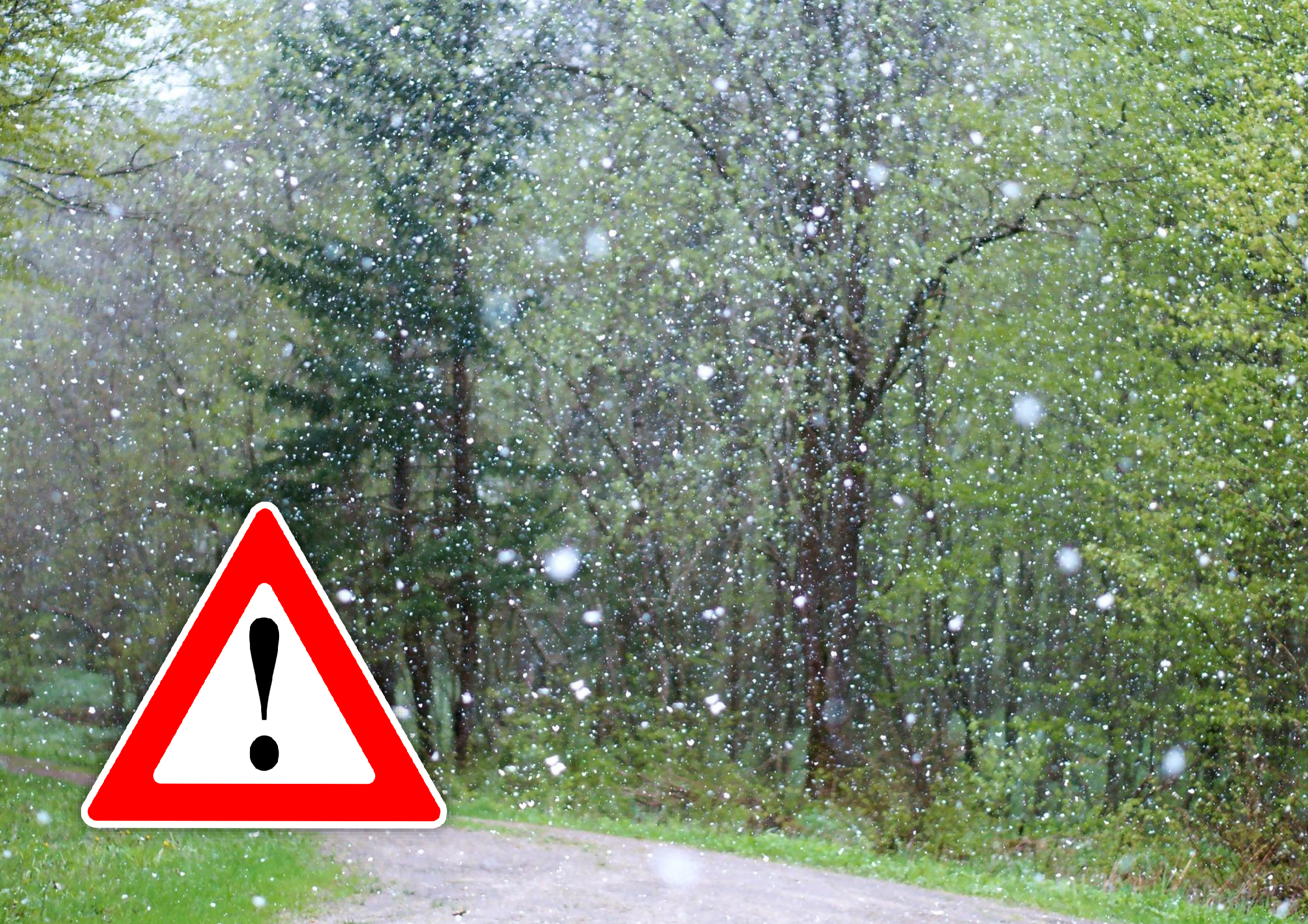 Ostrzeżenie meteorologiczne